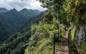 Madeira & low cost