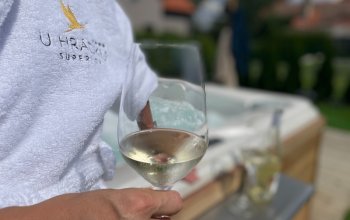 Odpočinkový pobyt v penzionu U Hrádku