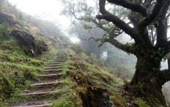 Madeira