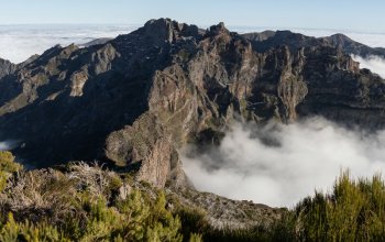 Madeira