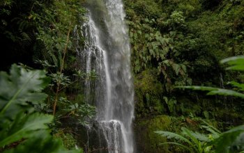 Madeira