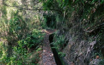 Madeira