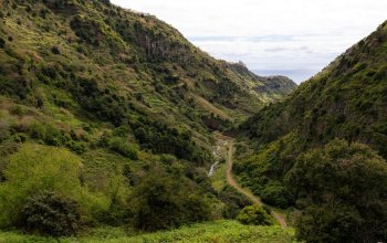 Madeira