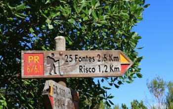 Madeira & low cost
