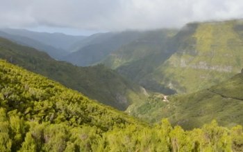 Madeira