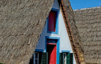 Madeira & low cost