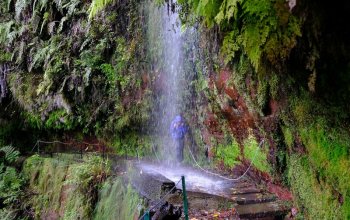 Madeira & low cost