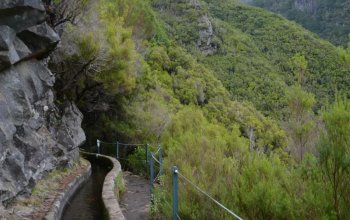 Madeira