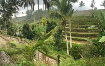Po čem ženy touží aneb Dámská jízda na Bali