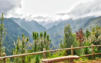 Autentická La Palma