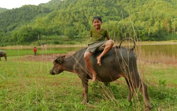 Vietnam – Na vlastní kůži