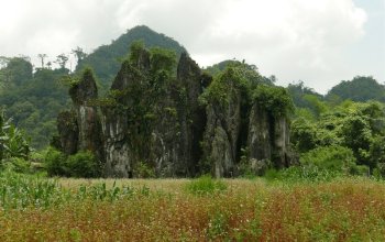 Vietnam – Na vlastní kůži