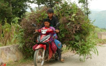 Vietnam – Na vlastní kůži