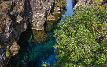 Island - za polárnou žiarou