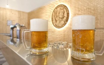 Škola čepování piva Gambrinus + prohlídka pivovaru