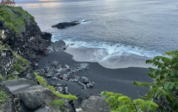 Bali na maximum