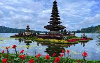 Bali na maximum