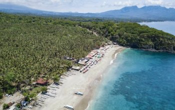 Bali na maximum