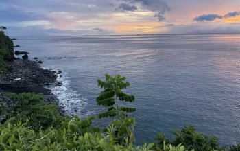 Bali na maximum