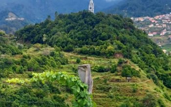 Good Food & Wine Tour na Madeiře