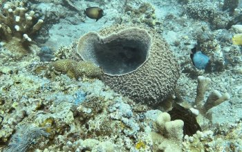 Objavte Bali - Ostrov Bohov