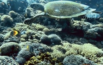 Objavte Bali - Ostrov Bohov