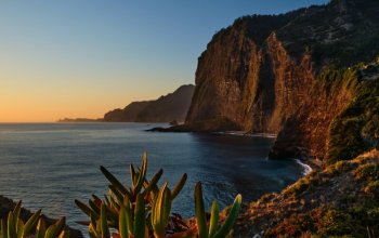 Madeira & low cost