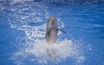 Gran Canaria: 8denní cesta