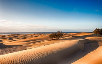 Gran Canaria: 8denní cesta