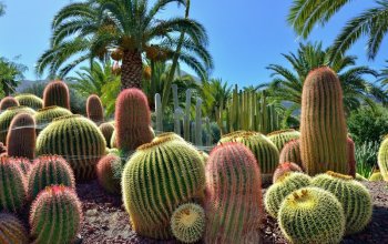 Gran Canaria: 8denní cesta