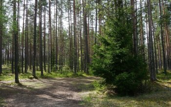 Sever Estonska + Helsinki