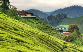 Poznávací zájezd Malajsie, Singapur a ostrov Langkawi