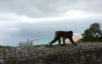 Gibraltar - Španělsko