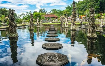 Bali na maximum
