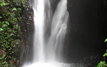 Bali na maximum