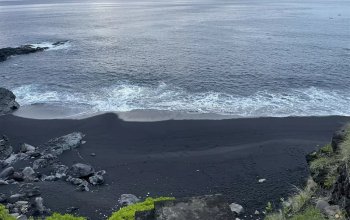 Bali na maximum