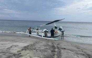 Bali na maximum