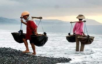 Bali na maximum