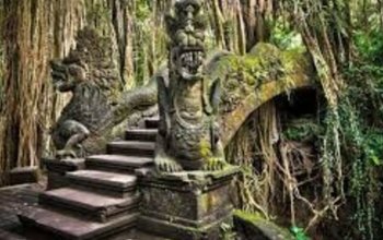 Bali na maximum