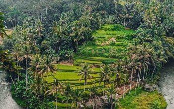 Bali na maximum