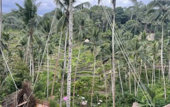 Bali na maximum