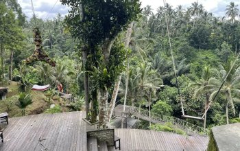 Bali na maximum
