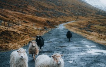 Faroe Islands