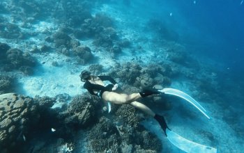 Objavte národný park Komodo