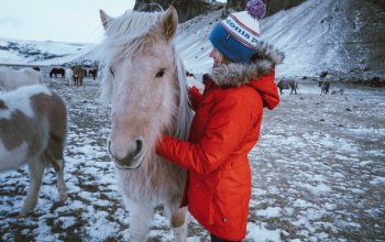 Winter Iceland