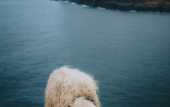 Podzimní Faerské ostrovy