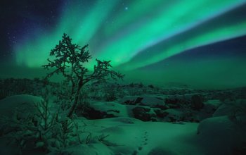 Tromsø za polární září