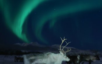 Tromsø za polární září