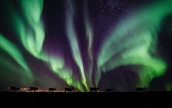 Tromsø za polární září