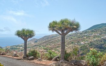Autentická La Palma